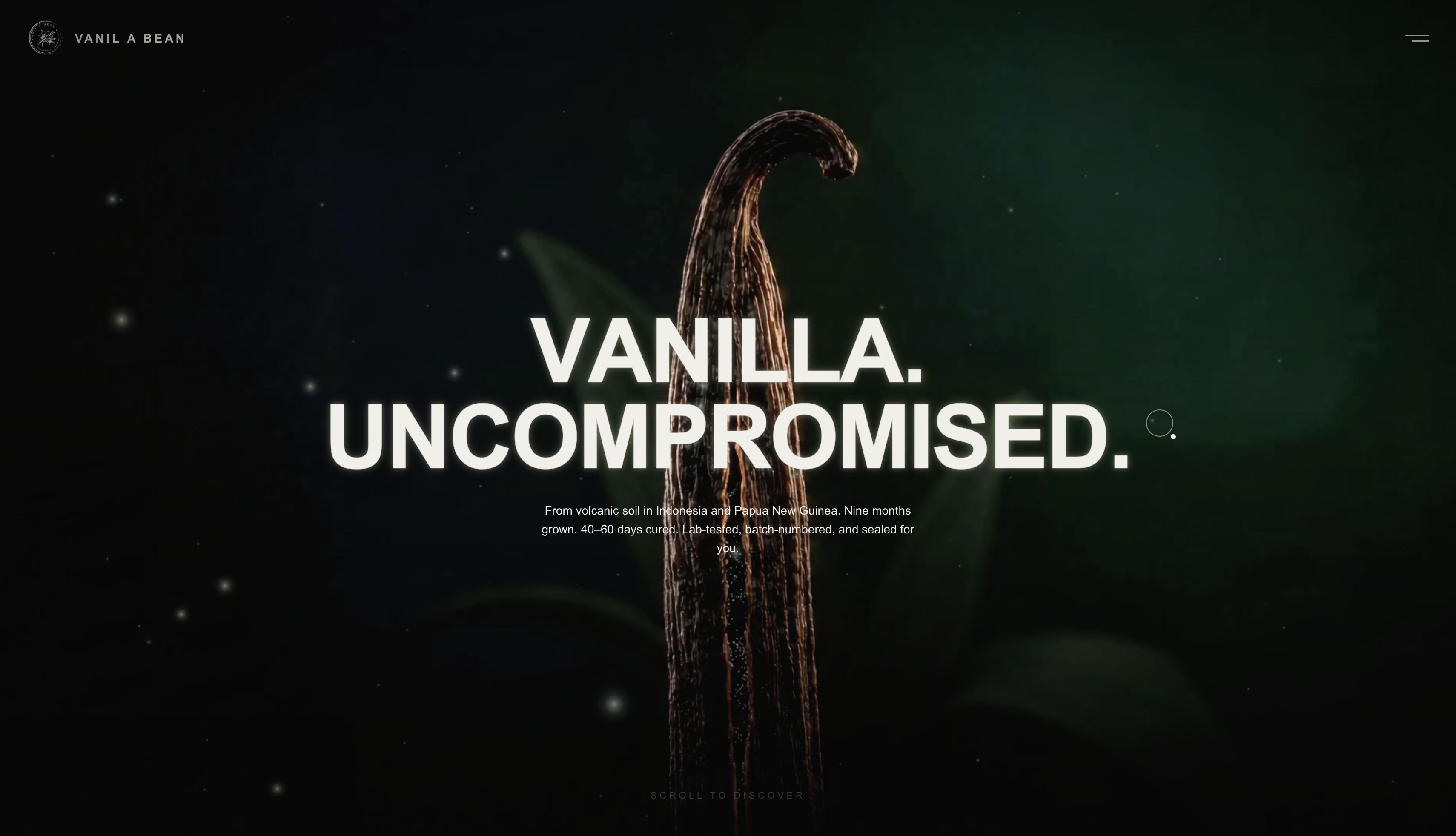 Vanil A Bean